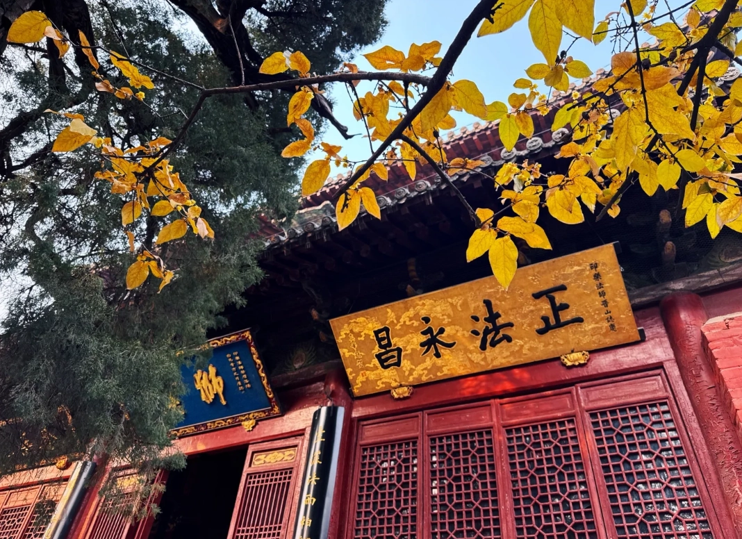kid-friendly activities henan kid-friendly activities henan