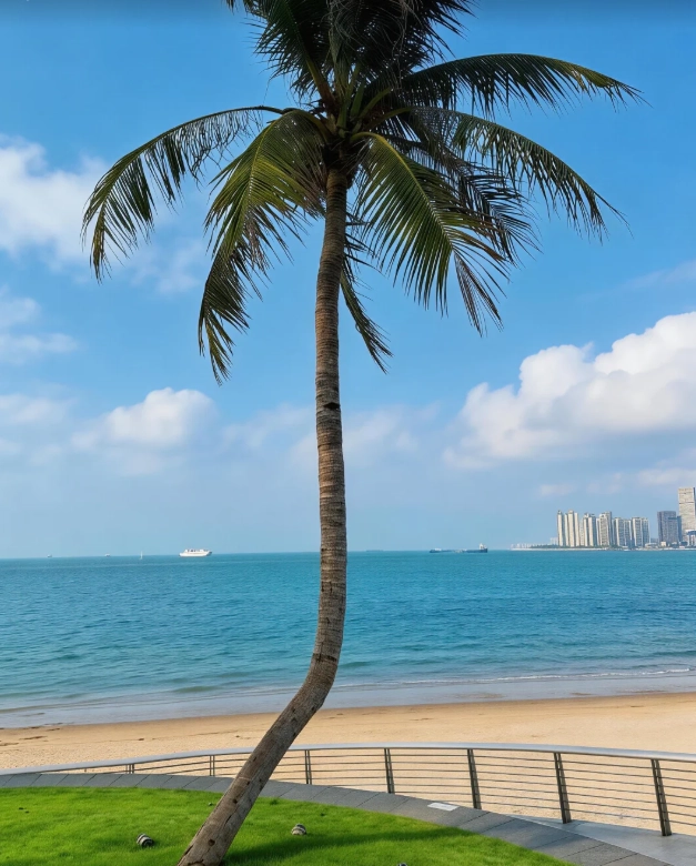 things to do in Haikou