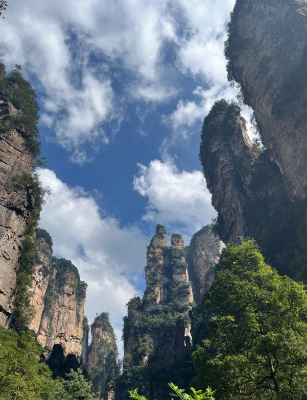 Zhangjiajie National Forest Park Zhangjiajie National Forest Park