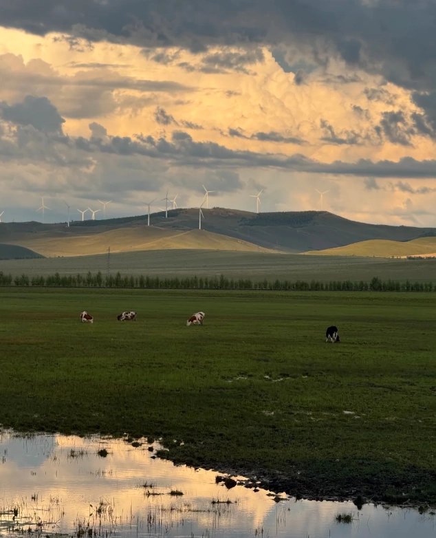 free things to do in inner mongolia