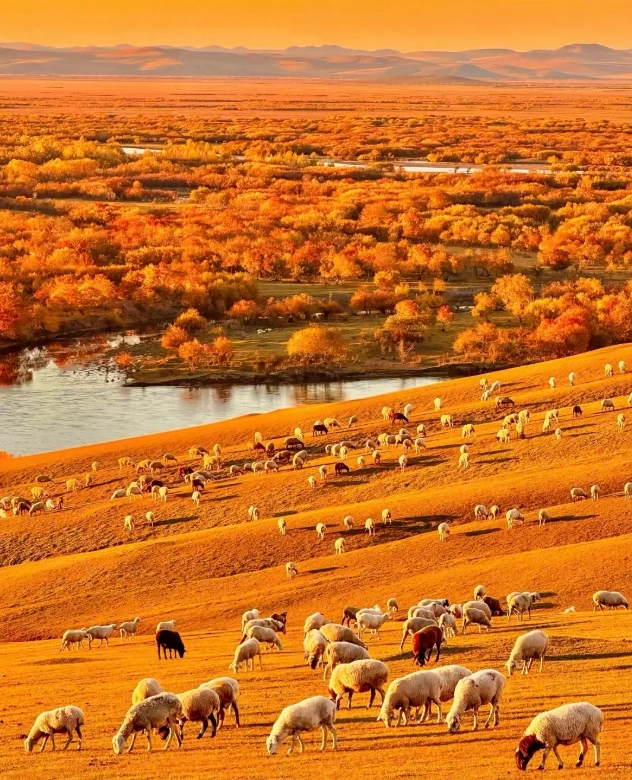 Hulunbuir grassland tour Hulunbuir grassland tour