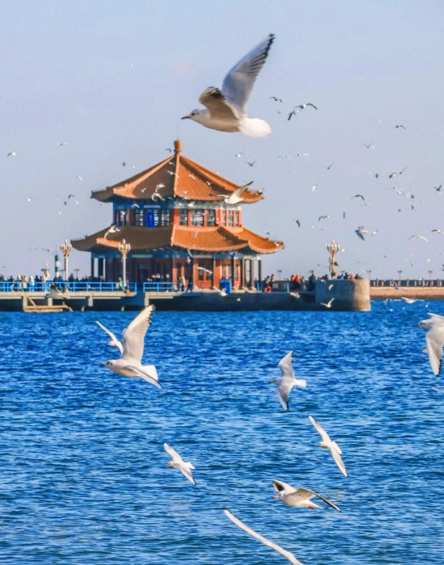 shandong tourist attractions shandong tourist attractions
