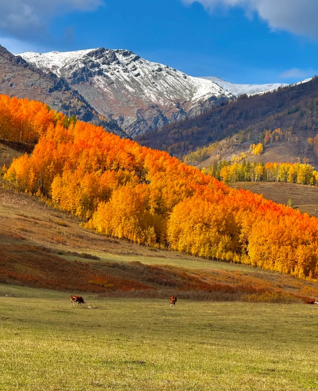 what to do in xinjiang what to do in xinjiang