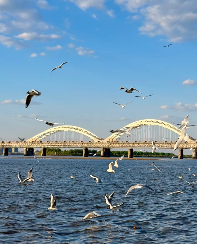 Heilongjiang travel guide