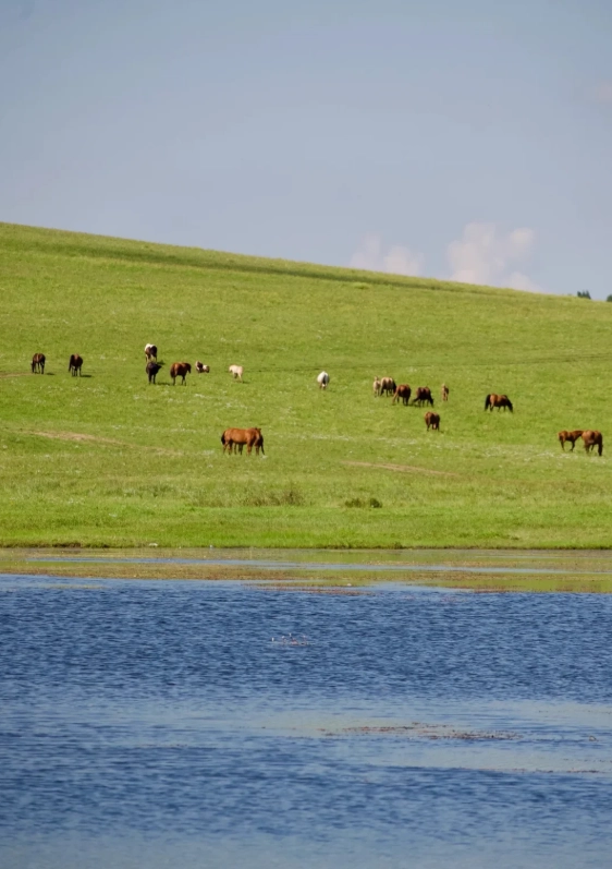cheap things to do in inner mongolia