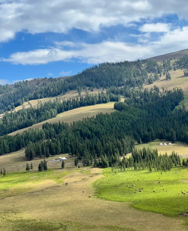 turpan family activities turpan family activities