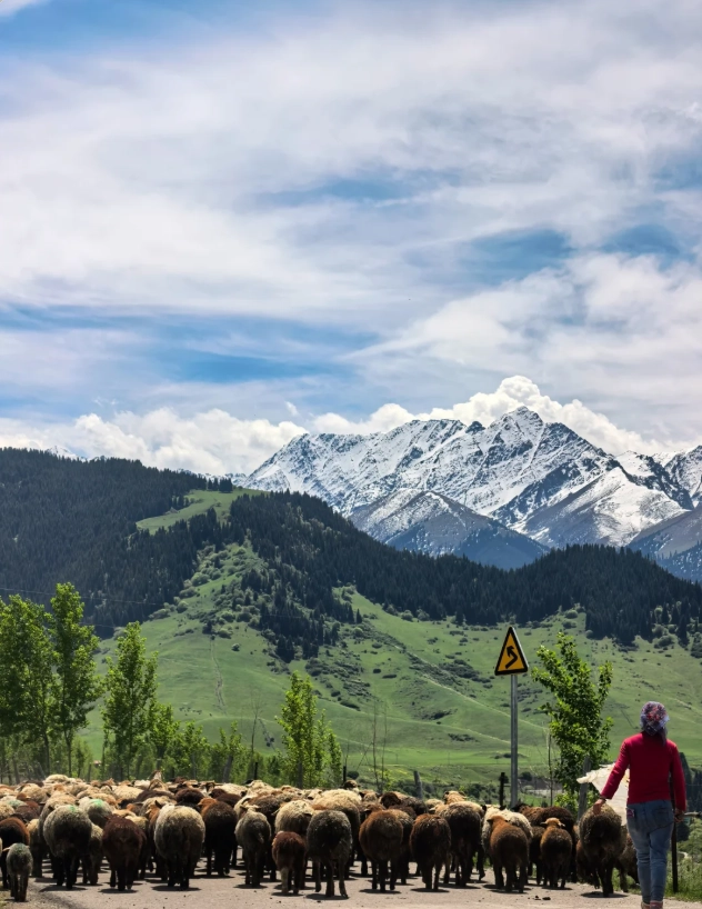 xinjiang family travel xinjiang family travel