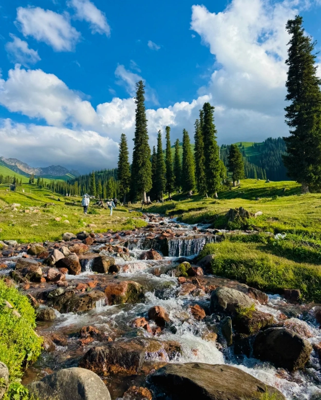 no-cost activities in xinjiang