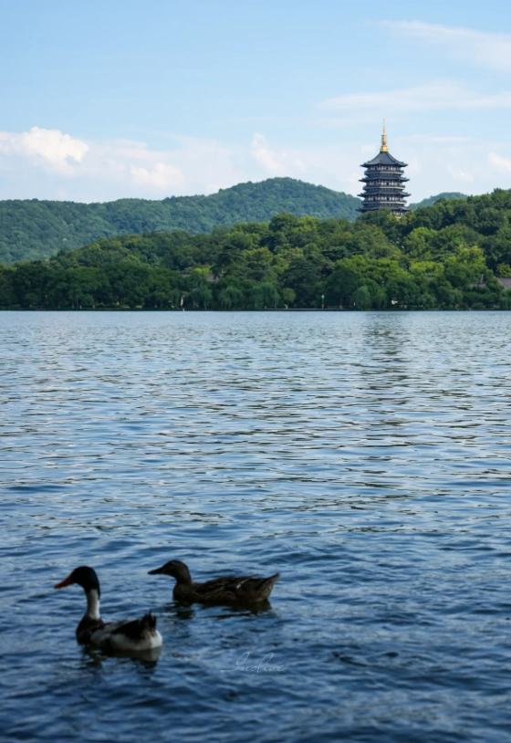 kid friendly attractions Hangzhou kid friendly attractions Hangzhou