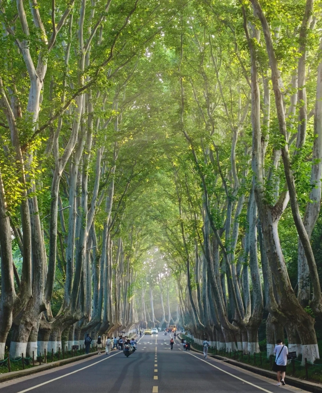 jiangsu travel tips