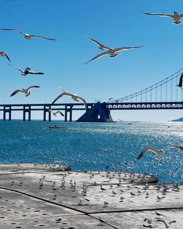 Dalian itinerary