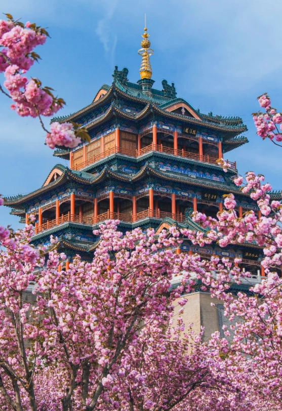 xianyang ancient sites