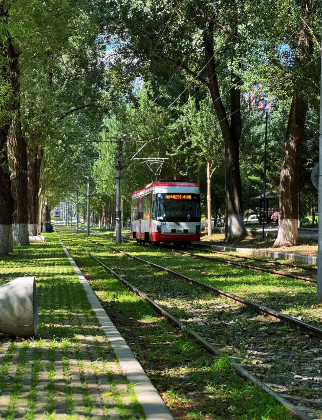 things to do in changchun things to do in changchun