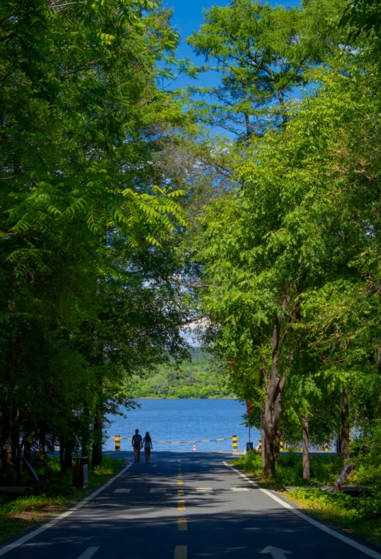 Changchun parks free