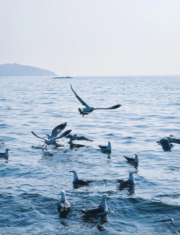 Dalian safety tips Dalian safety tips