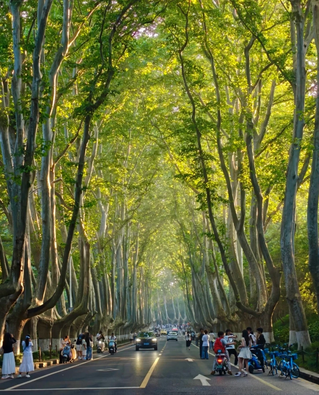 things to do in Jiangsu
