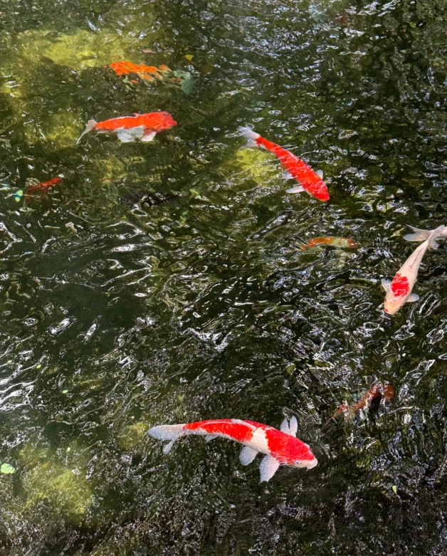 Zhejiang travel