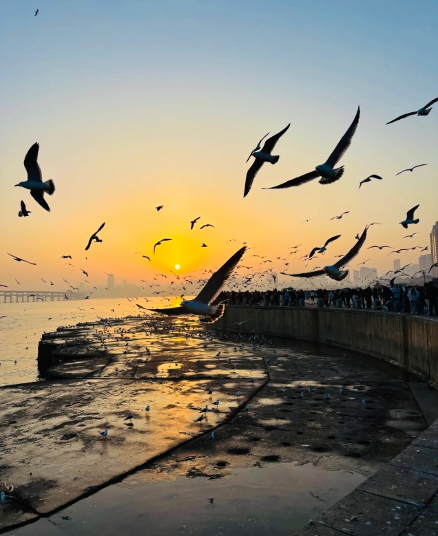 liaoning nightlife
