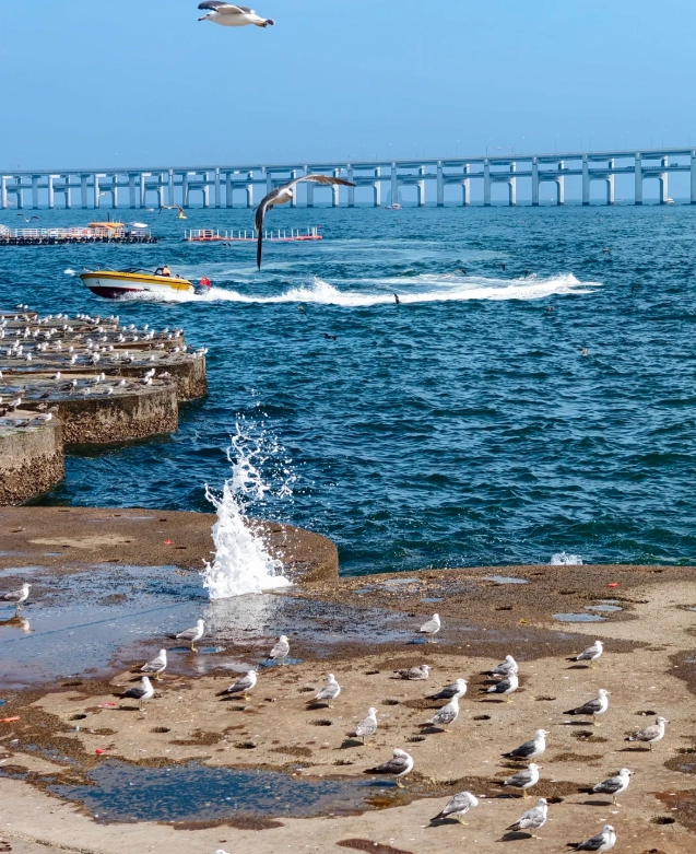 things to do in Dalian things to do in Dalian