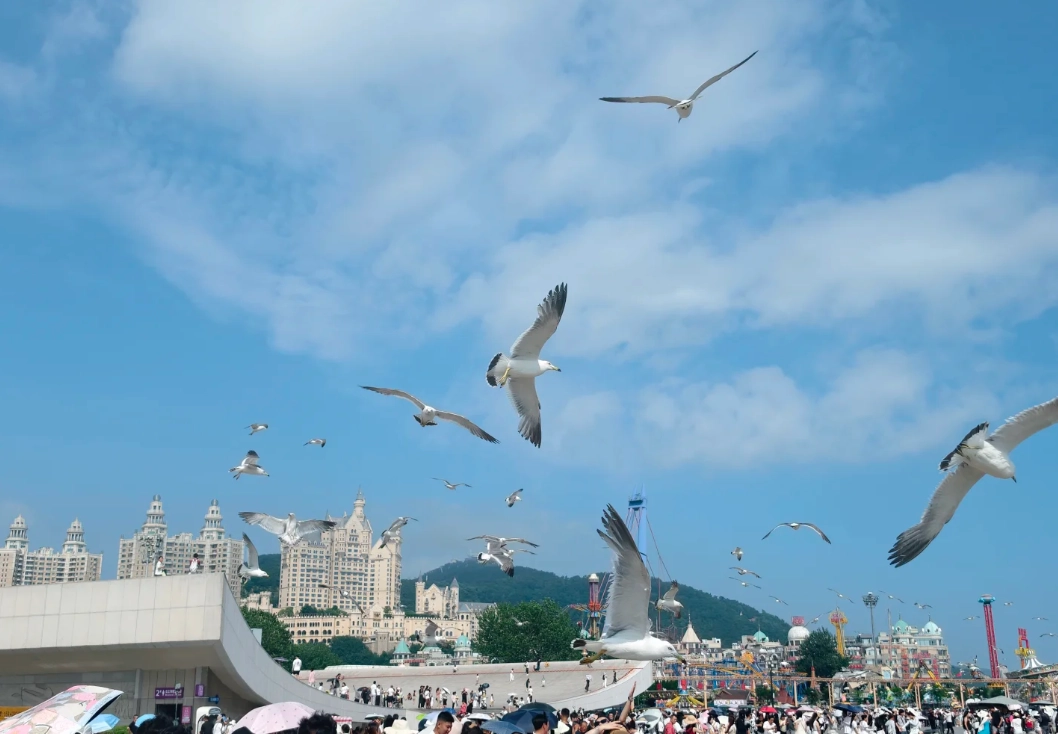Dalian itinerary Dalian itinerary