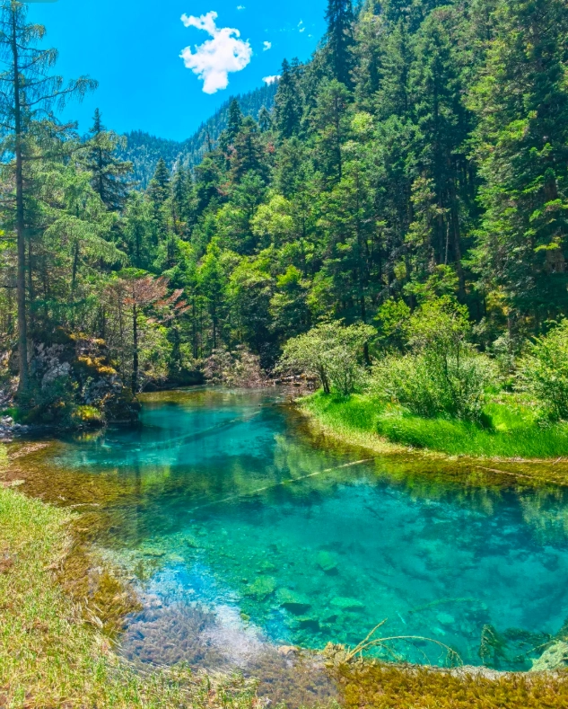 sichuan itinerary 7 days