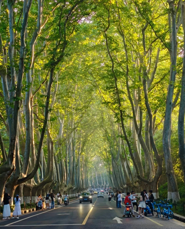 free attractions in Jiangsu free attractions in Jiangsu