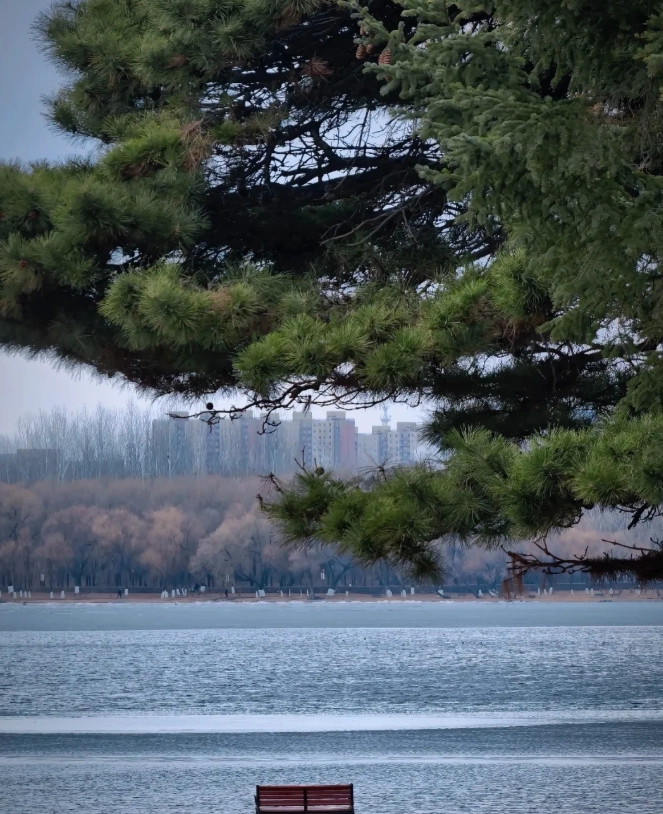 changchun travel guide