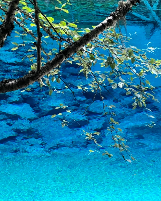 jiuzhaigou valley tour