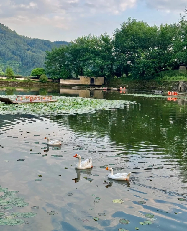anhui travel tips anhui travel tips