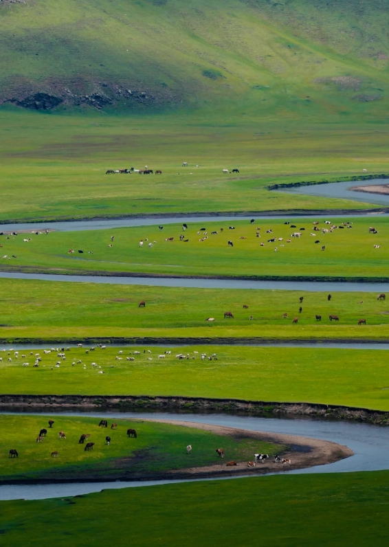 things to do in Inner Mongolia