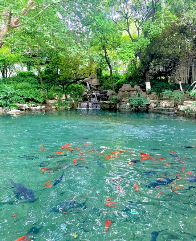 things to do in shandong