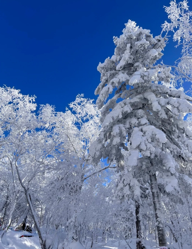 free activities in heilongjiang free activities in heilongjiang