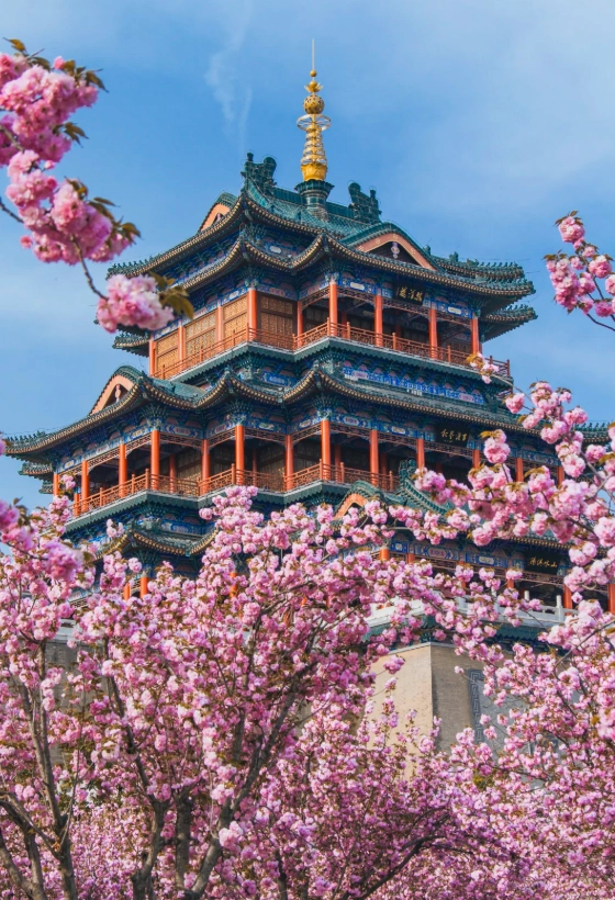 what to do in xianyang for free
