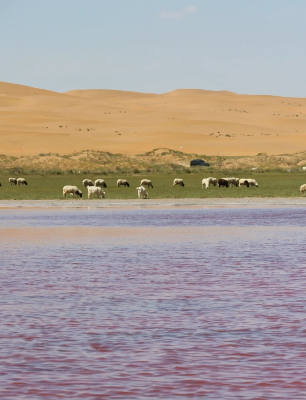 ningxia travel guide