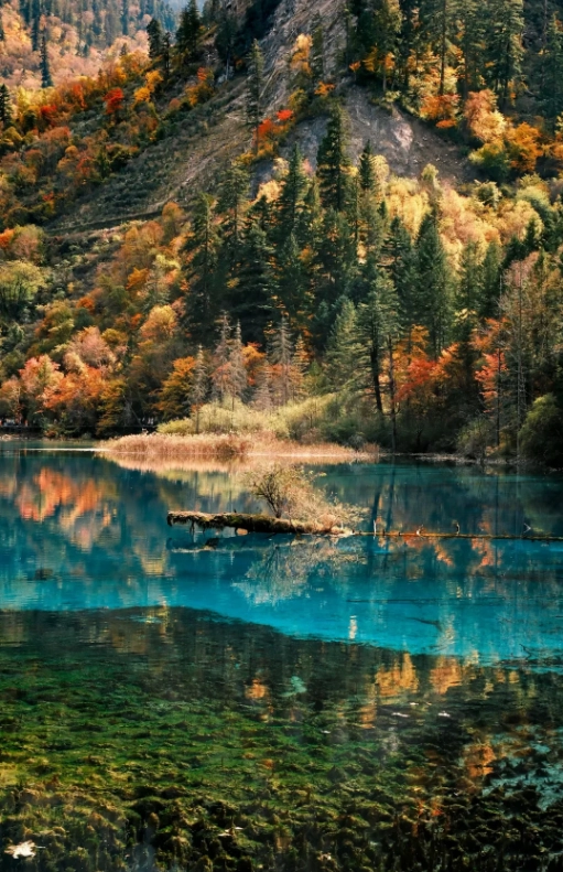 free attractions in Sichuan