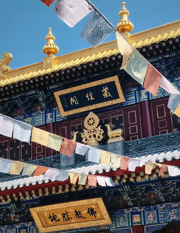 things to do in shaanxi