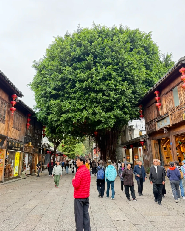 budget travel fujian