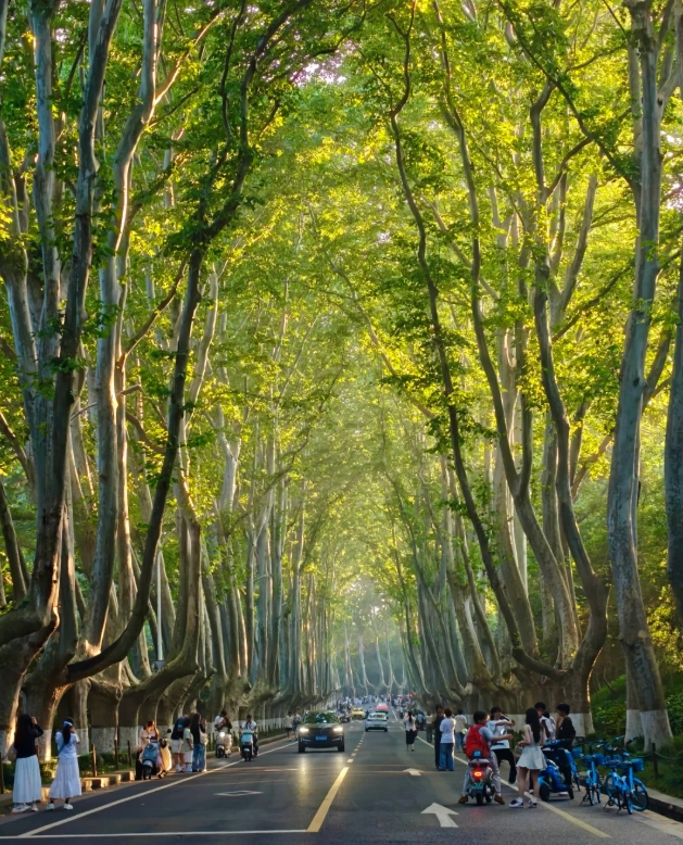 Jiangsu travel guide Jiangsu travel guide