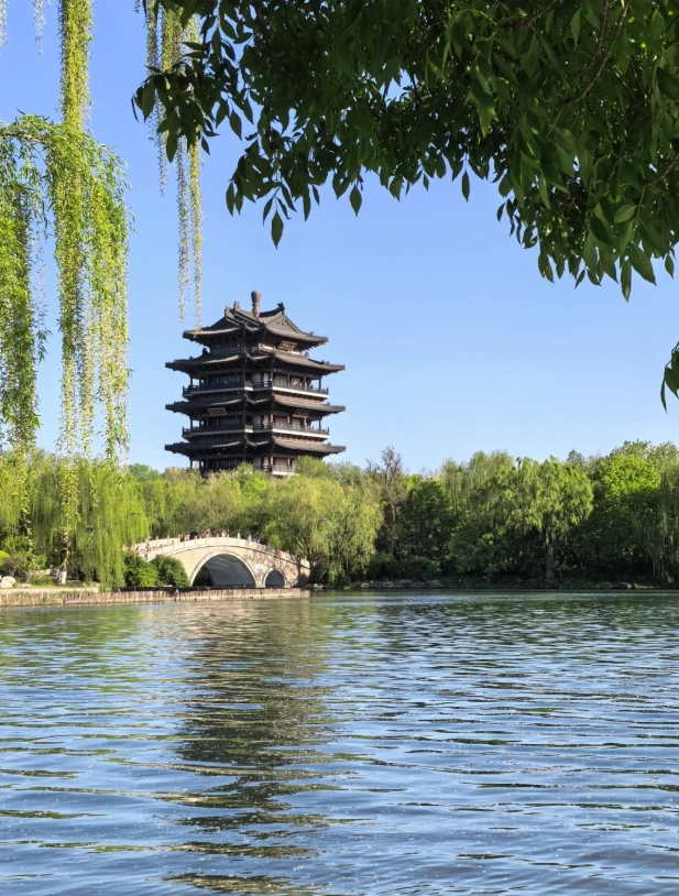 what to do in shandong