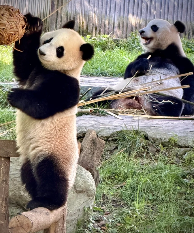 sichuan travel guide sichuan travel guide