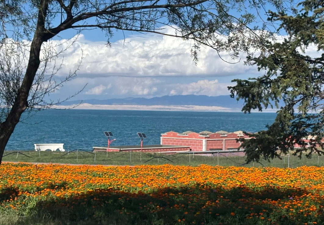 qinghai lake tips