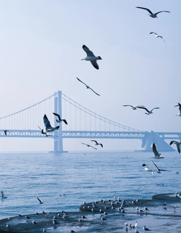 free activities in Dalian