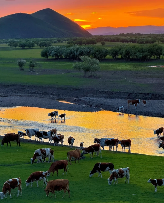 Mongolia yurt stay Mongolia yurt stay