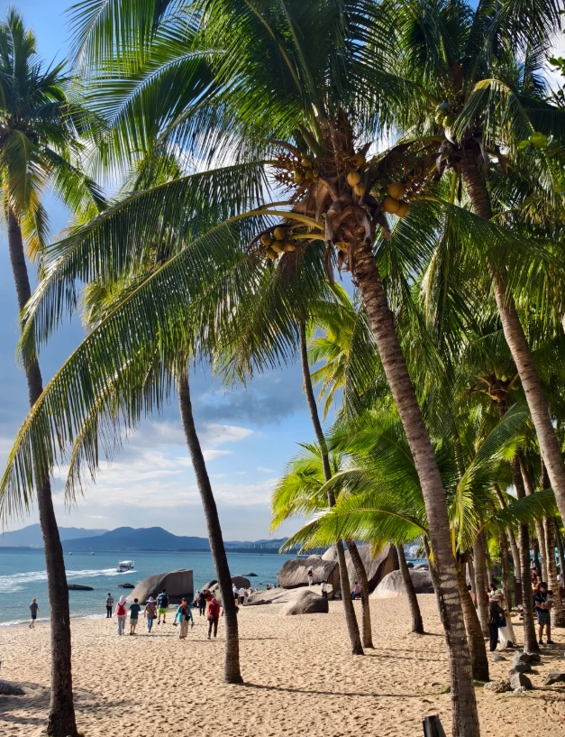 Haikou family attractions Haikou family attractions