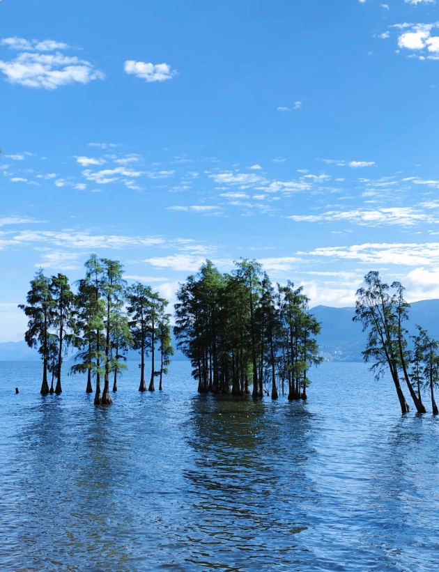 Yunnan travel guide