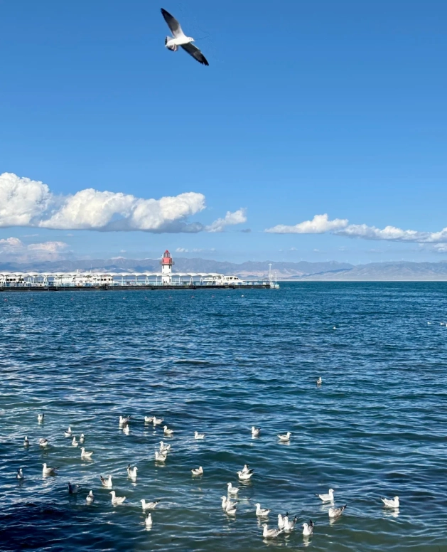 qinghai travel guide