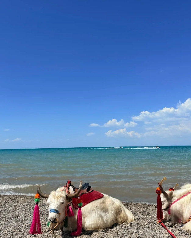 best time to visit qinghai