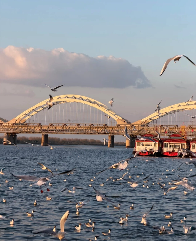 Heilongjiang winter travel
