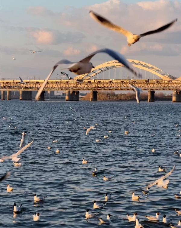 Harbin travel guide