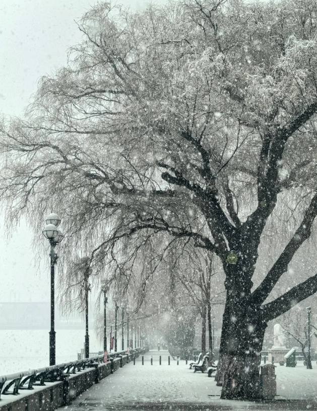 Harbin winter travel guide